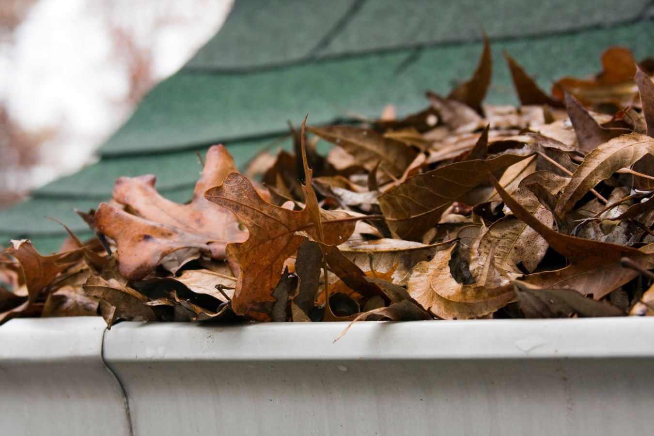 Gutter installation services